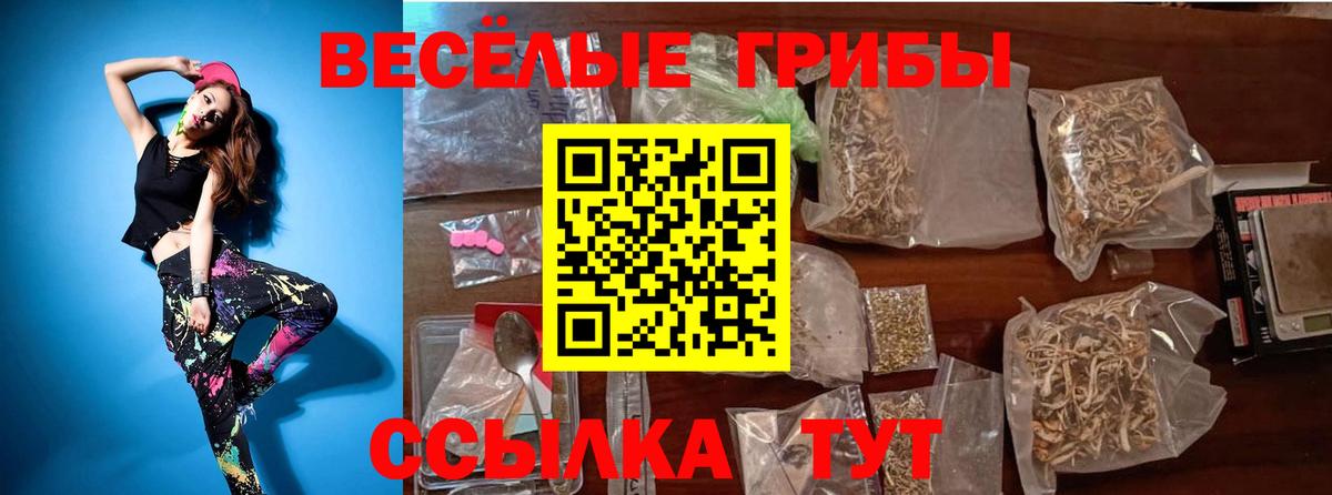 Галлюциногенные грибы Psilocybine cubensis Нижневартовск